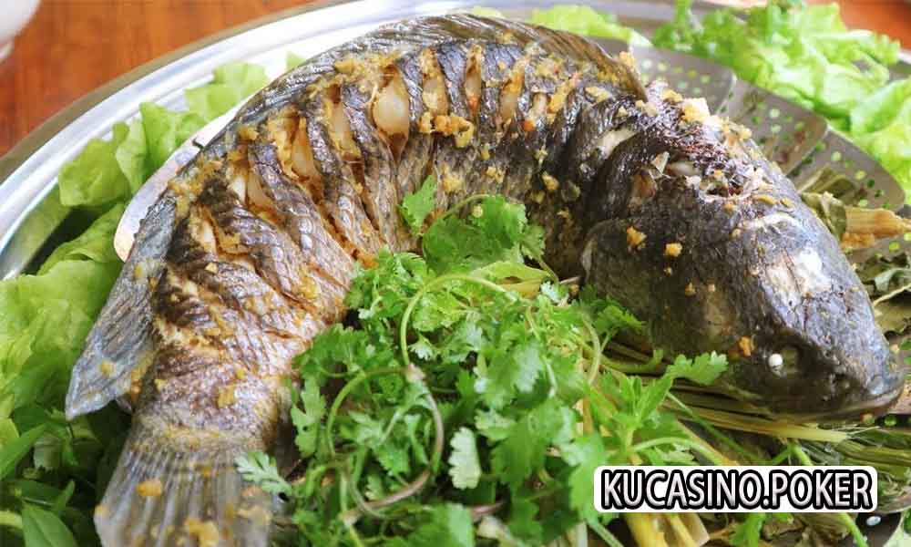 Mơ thấy cá đánh số gì trúng lớn? Con cá số mấy? 2 Nẳm mơ thấy con cá đánh gì?