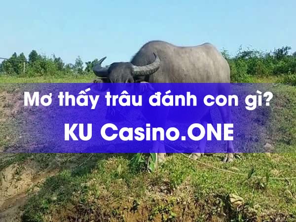 Nằm mơ thấy trâu đánh con gì? 1 Nằm mơ thấy trâu đánh con gì?