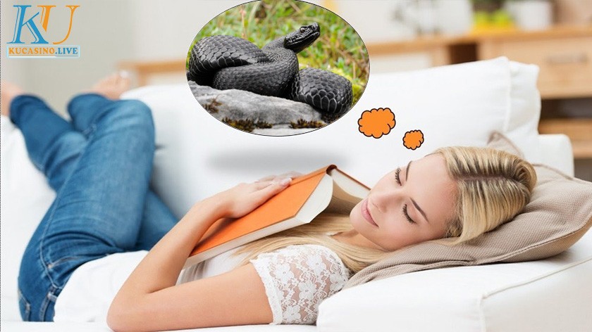 Mơ thấy rắn đen đánh con gì? Mơ thấy rắn đen là điềm xui hay lành 2 Phụ nữ chiêm bao thấy rắn đen