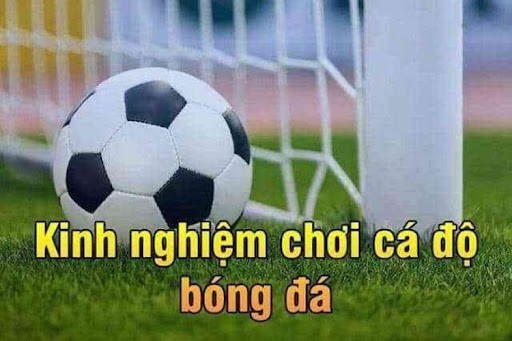 Top 8 những kinh nghiệm cá cược bóng đá "bách chiến bách thắng" 1 Kinh nghiệm cá độ trong bóng đá